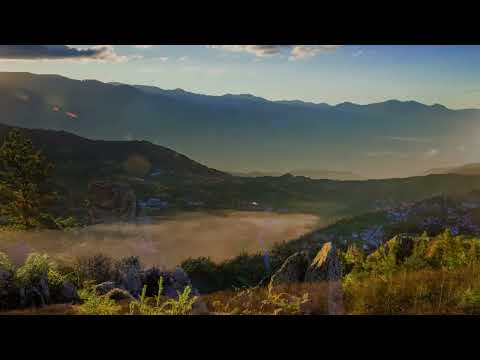 Rruga Drejt Krenaris Dhe Lavdis Hoxhë Namik Vehapi