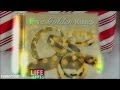 The Five Golden Rings Lyric From Every 12 Days Of Christmas Song Ever