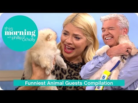 Funniest Animal Guests Compilation | This Morning