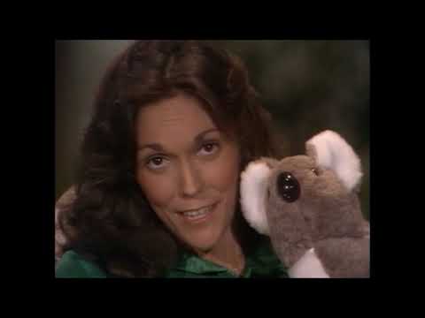 Carpenters - A Christmas Compilation (2024)