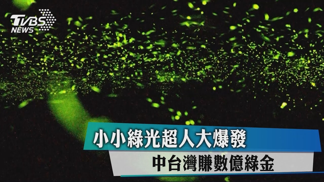 小小綠光超人大爆發 中台灣賺數億綠金