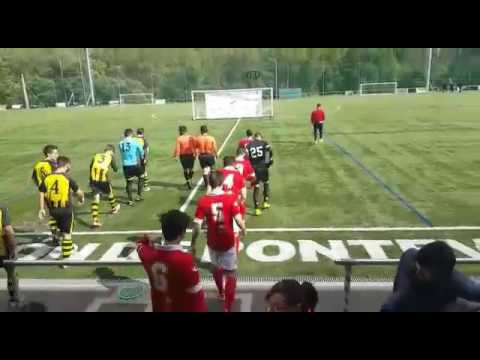 El cuntis alevin campeon de liga