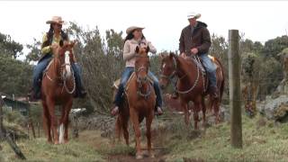 Cowboys of Hawaii with Vicki Lee