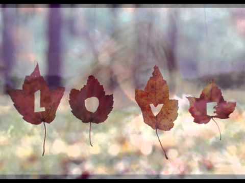 Amor I Love You