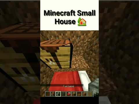 EPIC Mini House in Minecraft! #shorts
