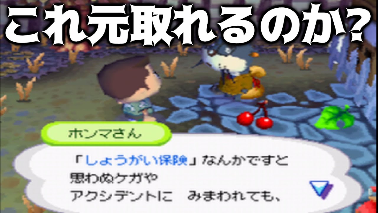 【おい森】ホンマさんの保険って元取れるのか？【おいでよどうぶつの森】