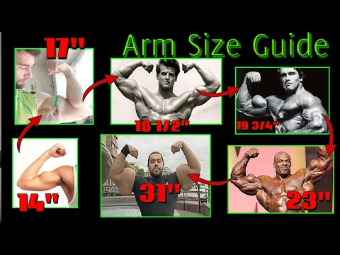 ULTIMATE GUIDE To ARM SIZE (How Big Can You Get Naturally? How Big are MY Arms? Biggest Arms Ever?)