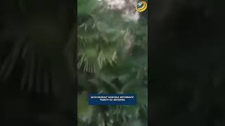 Հեղեղումներ Սոչիում. գիշերվա հորդառատ անձրևից հետո փողոցները գետերի են վերածվել