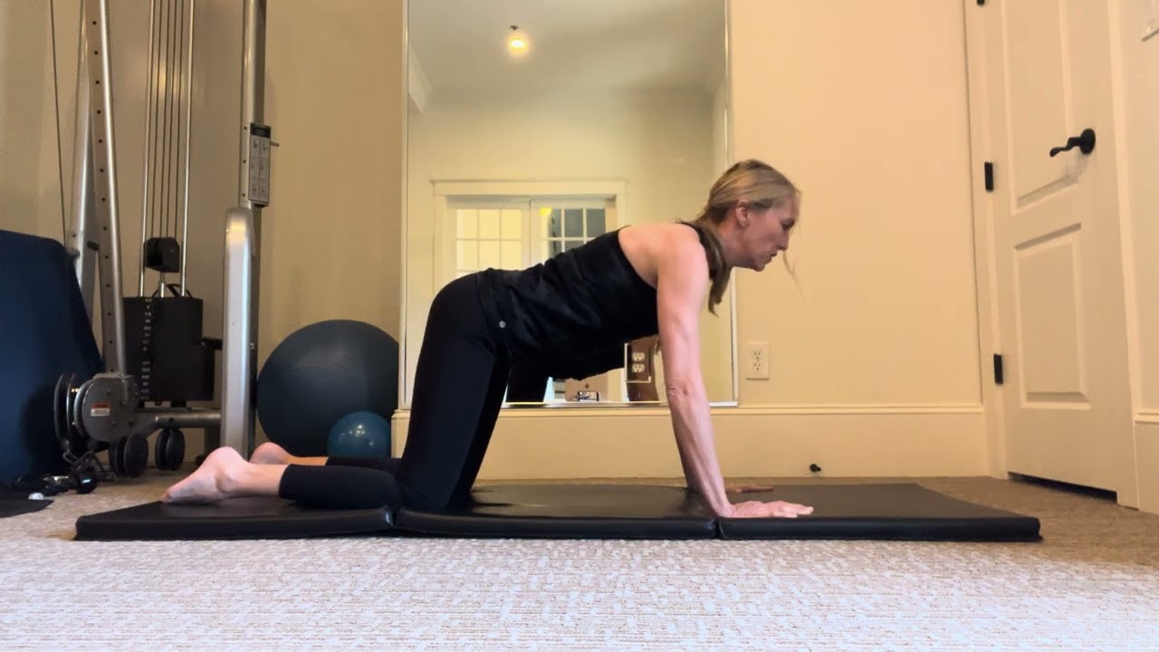 Cat Stretch with Ring Series