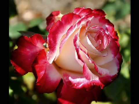 Tak abyste to věděla...