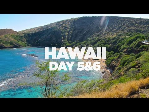 Hawaii Vlog 2015: Day 5 & 6 - Honolulu Zoo, Hanauma Bay, Waikiki Beach, Diamond Head & Benihana