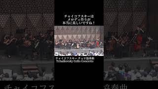 Download lagu チャイコフスキー チェロ協奏曲　Tchaikovsky Cello Concerto mp3