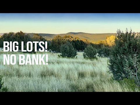 Land for Sale |  Big Lots!