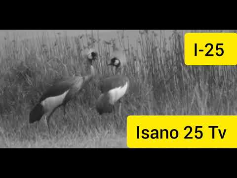 sindagira unsange dusabane (video lyrics)