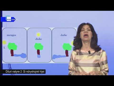 Dituri natyre 2 - Si ndryshojnë hijet