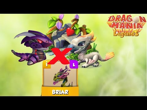 Why did not Dragon as intended ?Breeding Dragons Together?!| Dragon Mania Legends | part 999 HD