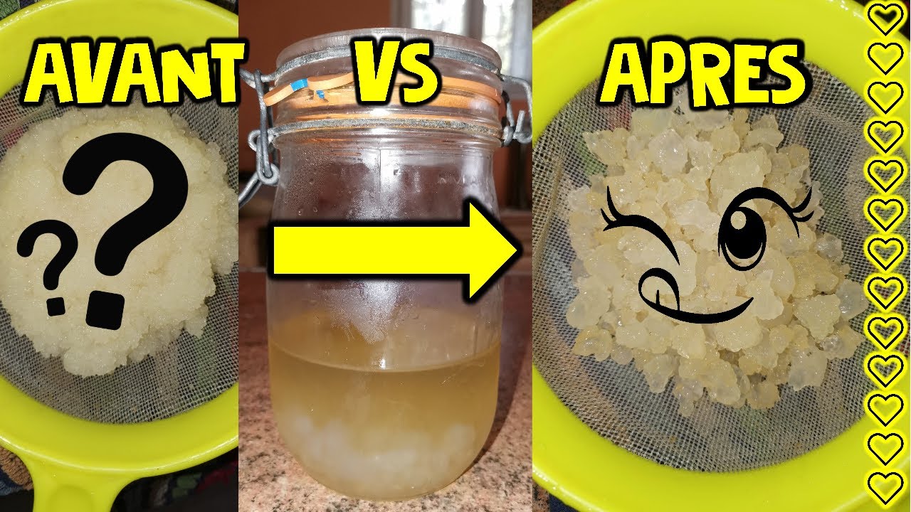 COMMENT OBTENIR DE MAGNIFIQUE GRAINS DE KÉFIR