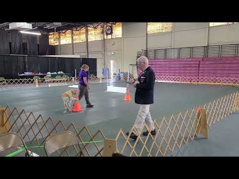 Teresa & Finn - Preferred Open 8-19-2023