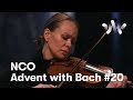 J. S. Bach: Violin Partita No. 1 in B minor, Sarabande & Double // Cam Kjøll, violin