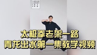 太极拳老架一路｜青龙出水 第一集教学｜陈式太极入门讲解｜Chen Style Taichi Old Frame “Green Dragon Emerges” Lesson 1