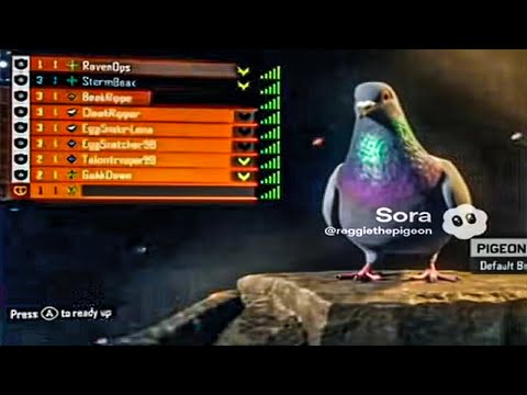 Video cover
