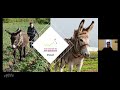 FECTU Webinar C Bonnin D Fouvez Use Of Donkey In 21st Century French Gardening Farms