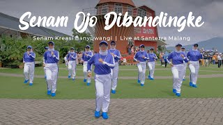 Download lagu Senam Ojo Dibandingke - Senam Kreasi Banyuwangi | Live Santerra Malang mp3