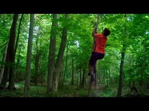 How to Climb a tree with no branches