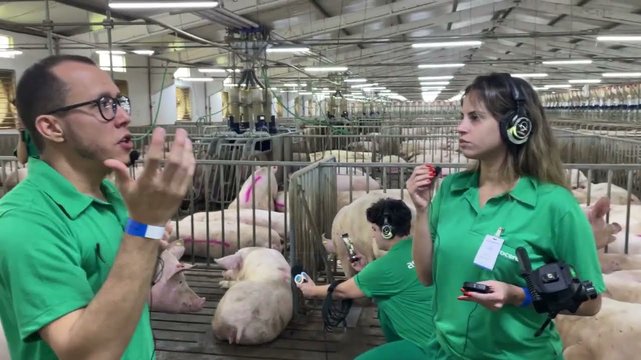 [Agroceres Multimix] Conheça o Núcleo de Tecnologia e Inovação para suínos