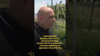 Վախեցնելով, ֆիզիկական ուժով՝ իրավապահները ներխուժել են գործարան․ «Արարատցեմենտի» գլխավոր տնօրենի ժ/պ