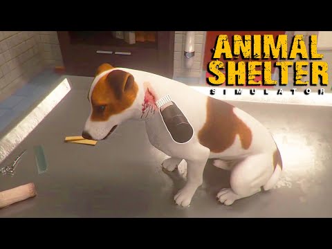 Gameplay de Animal Shelter