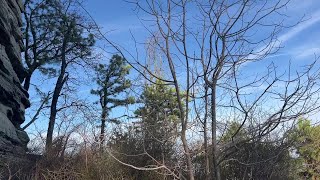 Raptors, including vultures, hawks, and eagles seen soaring on thermals at spring equinox at Pilo...