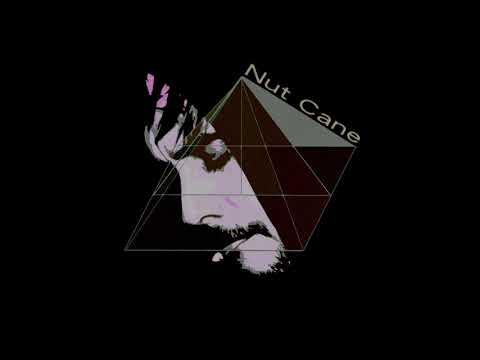 Nut Cane - Transformer