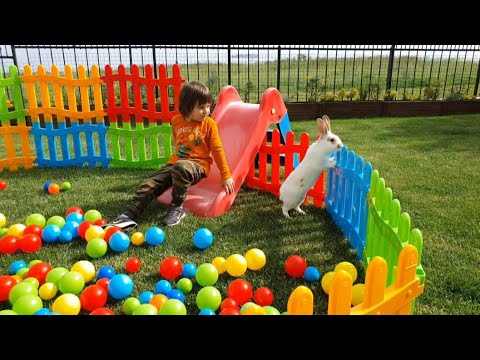 Bahçeye büyük oyun alanı kurduk,Fatih Selimin tavşanı top havuzundan kaçmak için yer arıyor.