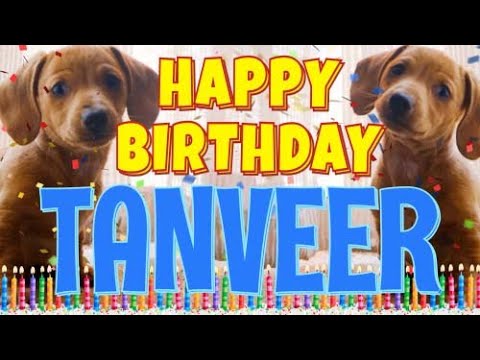 Happy Birthday Tanveer! ( Funny Talking Dogs ) What Is Free On My Birthday