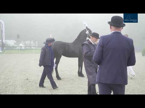 KFPS Centrale Keuring 2021, zaterdag baan 2