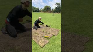 Old School Lawn Harvesting Method