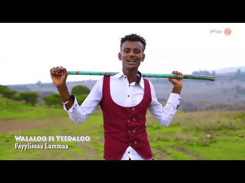 Ethiopian Music : Fayyiissaa Lammaa (Siduukaa Jirraa)  - New Ethiopian Music 2019(Official Video)