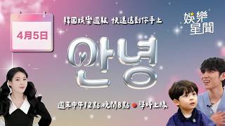 安妞👋韓娛晚報 20260405