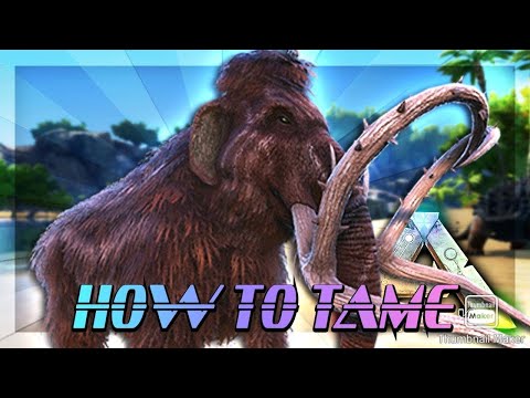Taming a Mammoth | Ark Survival Evolved Malayalam  Survive Day  4 🦖🦖 | The Island