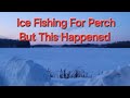 Video Thumbnail for Ice Fishing For Perch But This Happened.