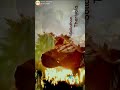 Piriyatha Enna Song Whatsapp Status