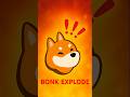 Why BONK Will Explode in 2026
