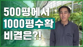 그림 같은 딸기 공중정원, 2단 행잉베드의 놀라운 세계 !