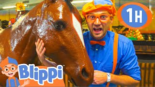 Blippi Visits An Indoor Amusement Park +More Blippi Videos | Educational Videos For Kids