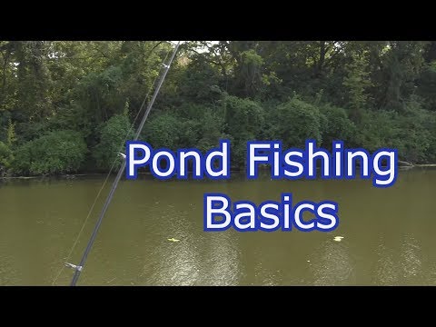 How to Fish a New Pond- Tips, Techniques, and Setups