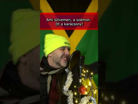 SitganPali - Itt a karácsony!(Ne legyél csicskagyász) (Mariah Carey - All I Want for Christmas...)