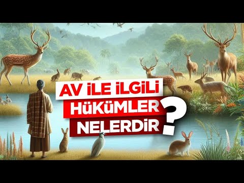 AV İLE İLGİLİ HÜKÜMLER NELERDİR  Diyanet Bilgi #Av #Avcı #Hüküm#diyanet #diyanet bilgi