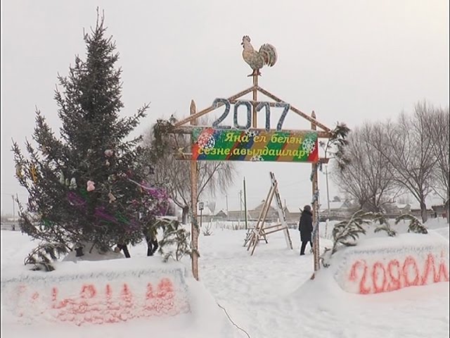 Иң яхшы яңа ел чыршысы кайда?