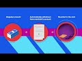Basic Overview Of The Chargeback Process